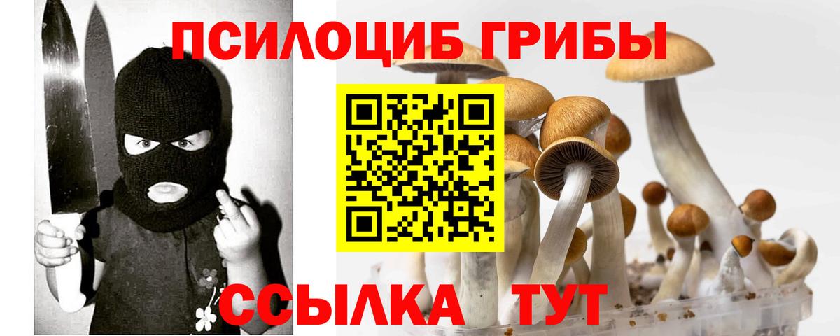 Донецк  Псилоцибиновые грибы Psilocybine cubensis  Вход с VPN 
